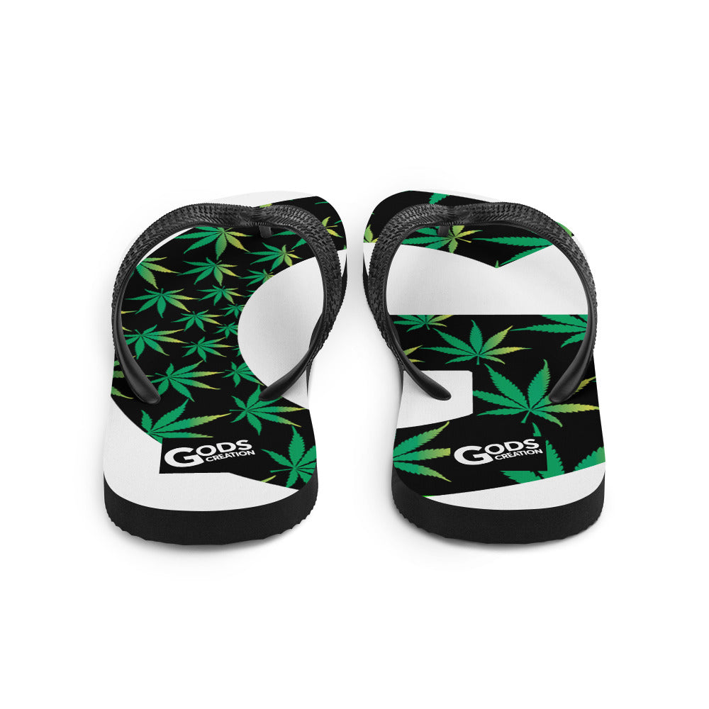 Flip-Flops