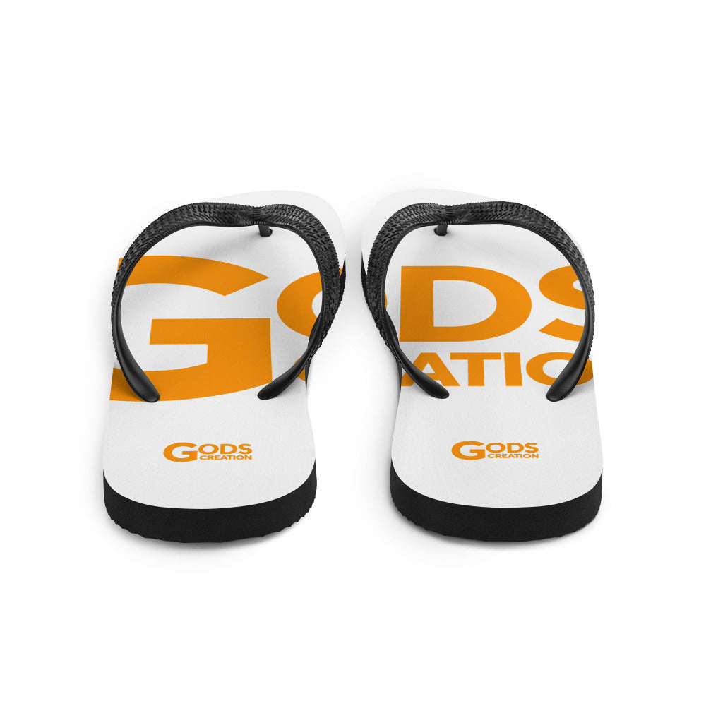 Flip-Flops