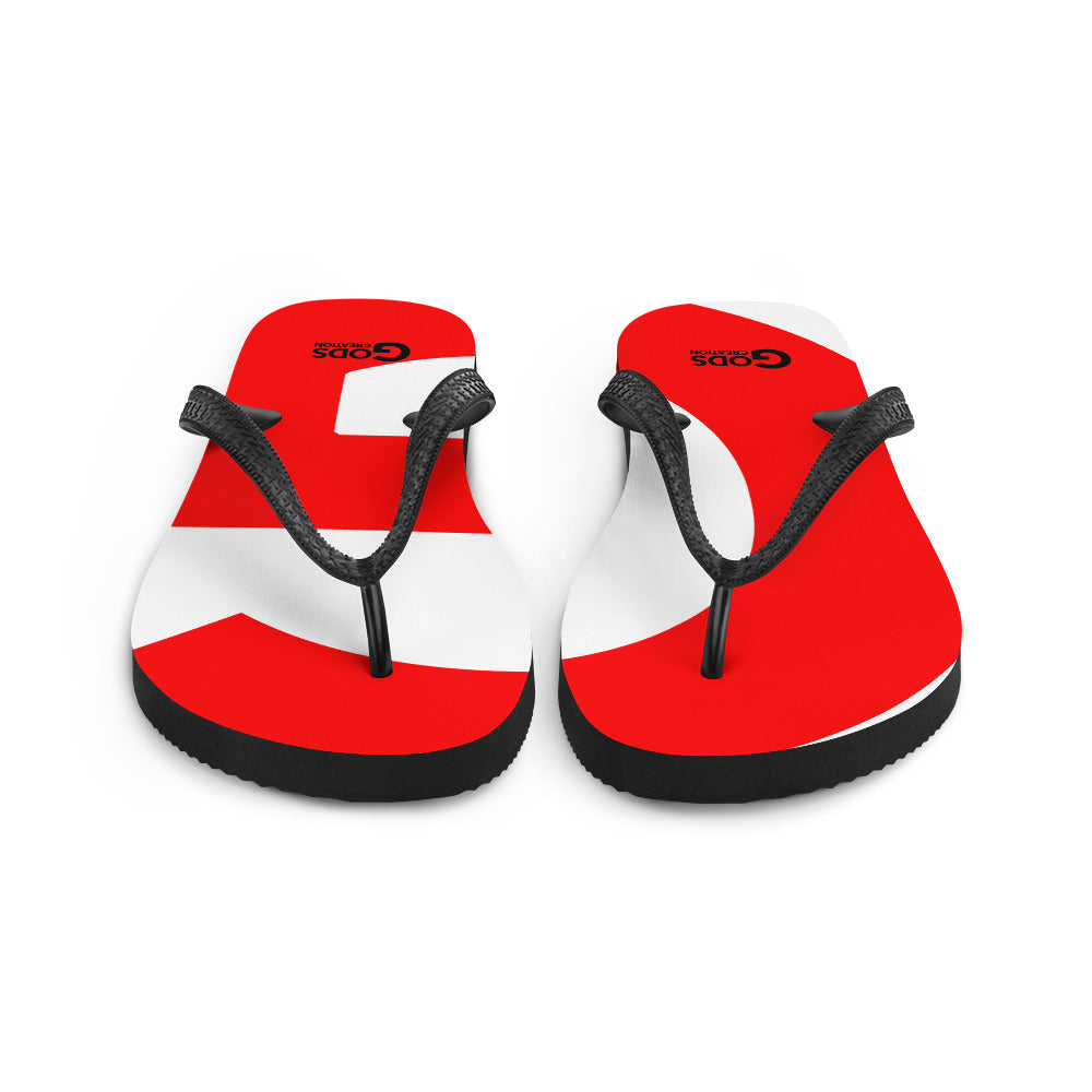 Flip-Flops