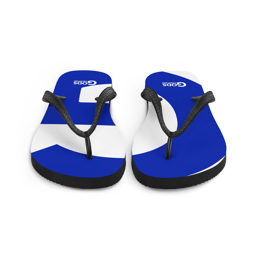 Flip-Flops