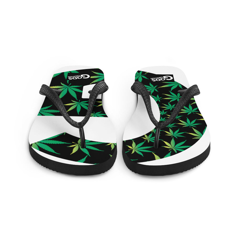 Flip-Flops