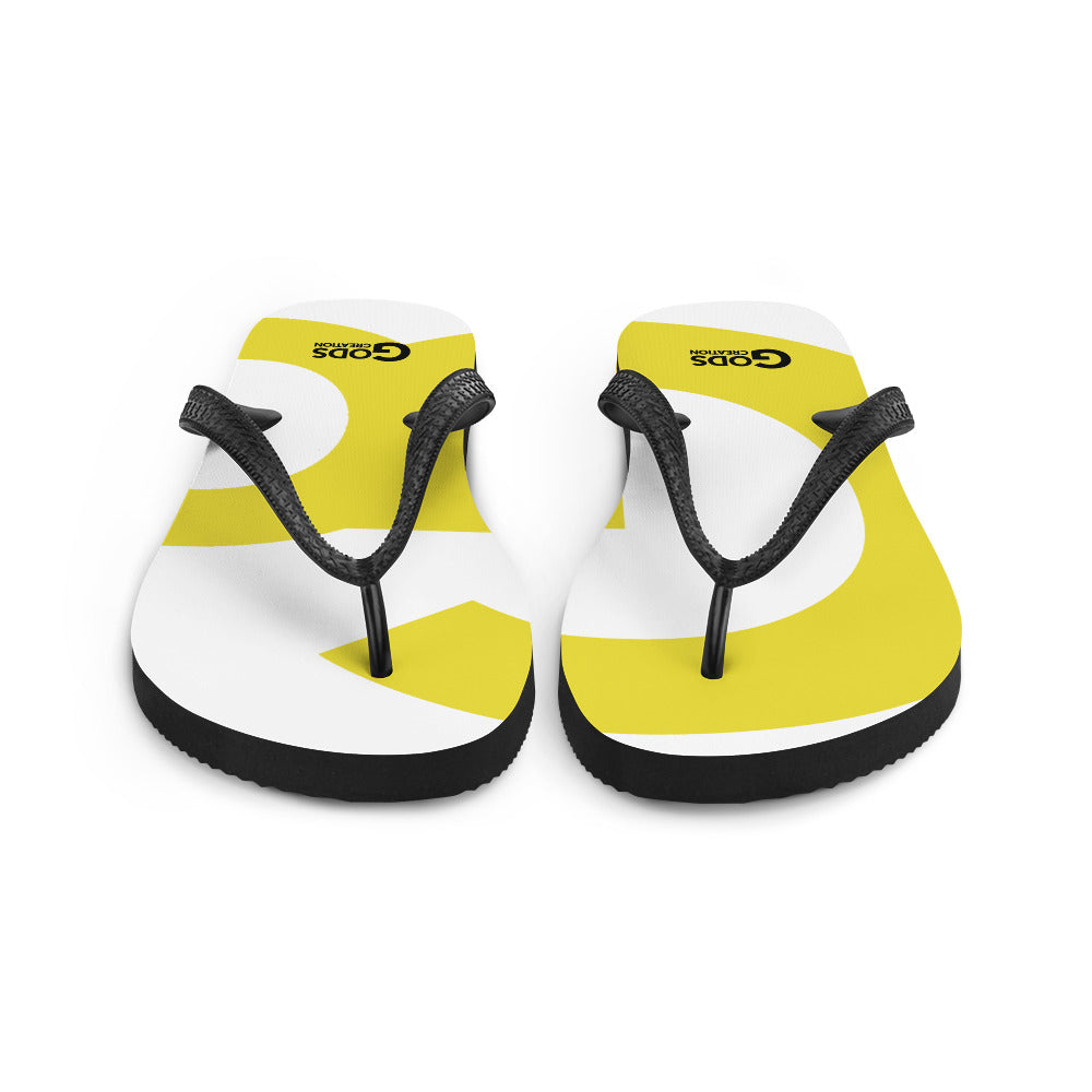 Flip-Flops