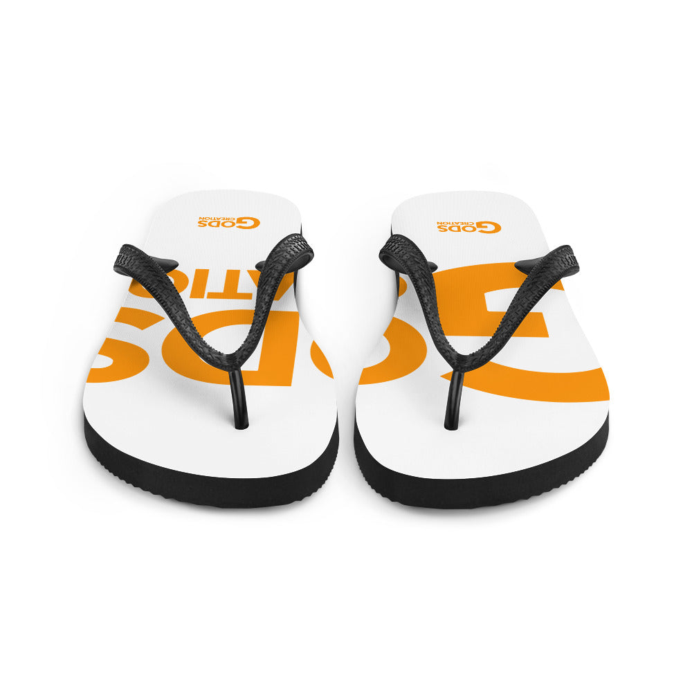 Flip-Flops