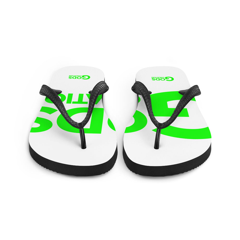 Flip-Flops