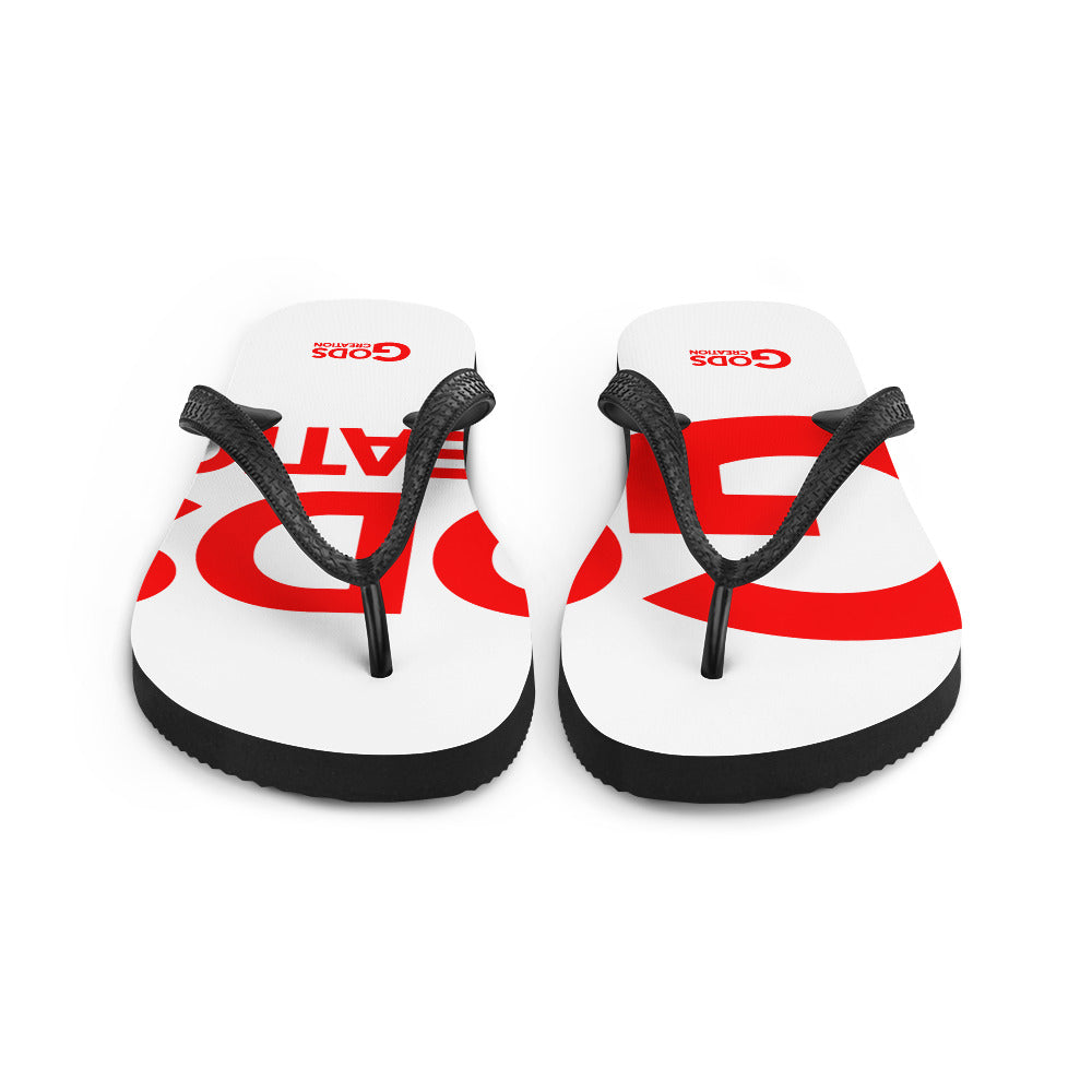 Flip-Flops