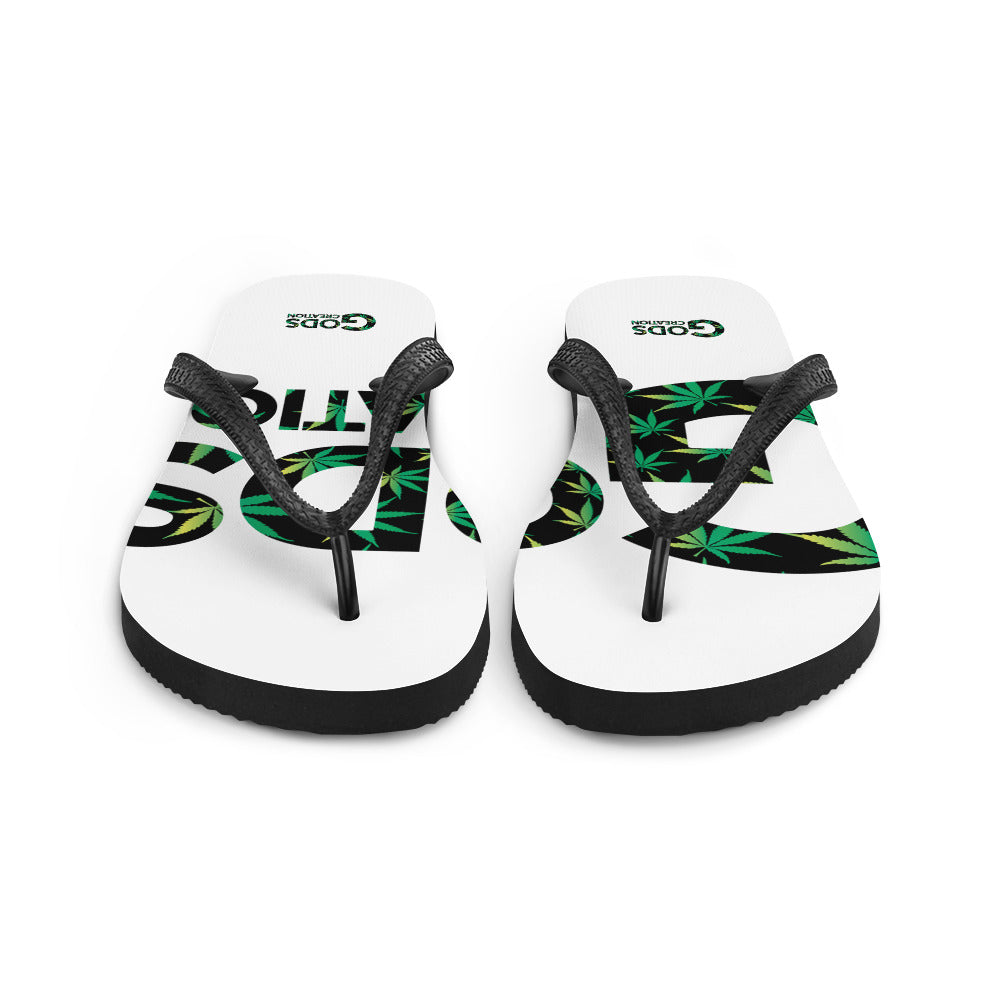 Flip-Flops