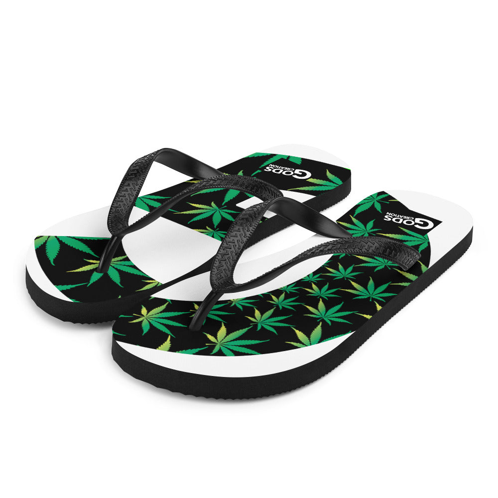 Flip-Flops