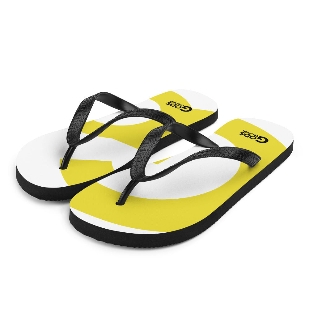 Flip-Flops