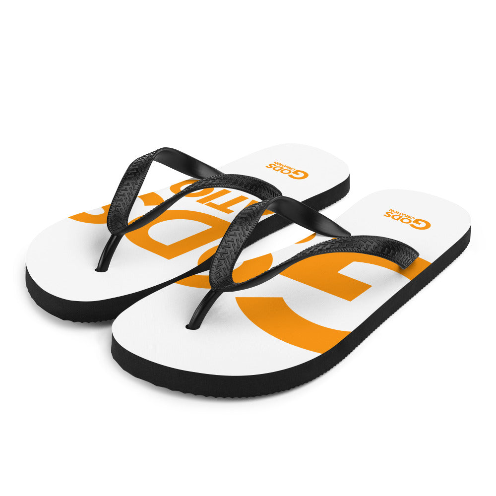 Flip-Flops