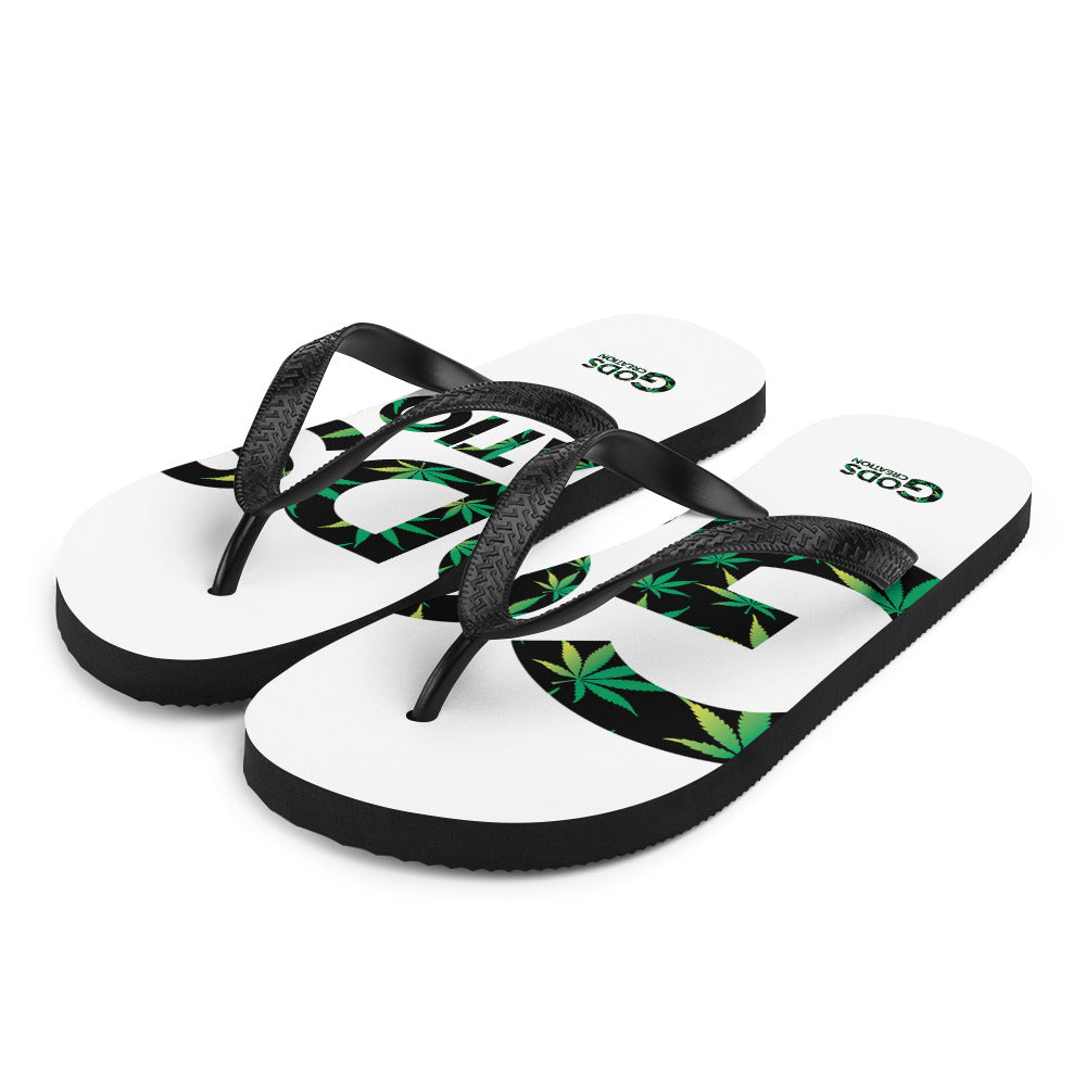 Flip-Flops