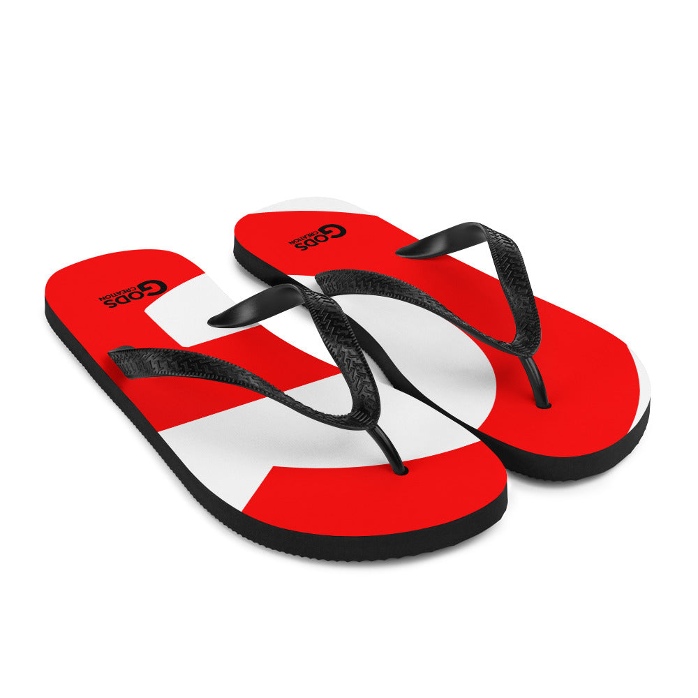 Flip-Flops