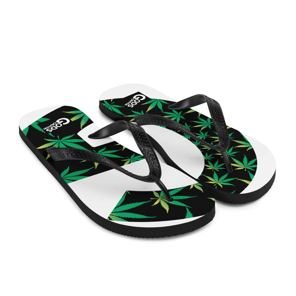 Flip-Flops