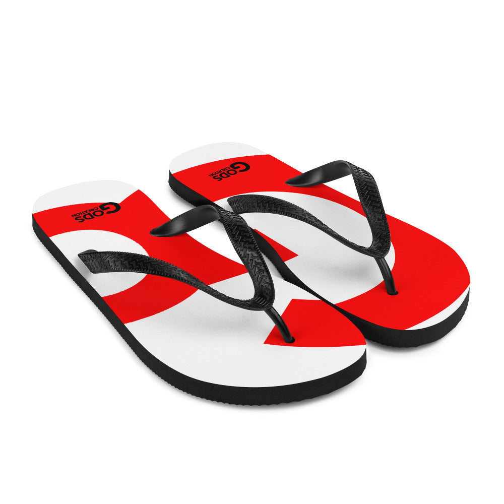 Flip-Flops