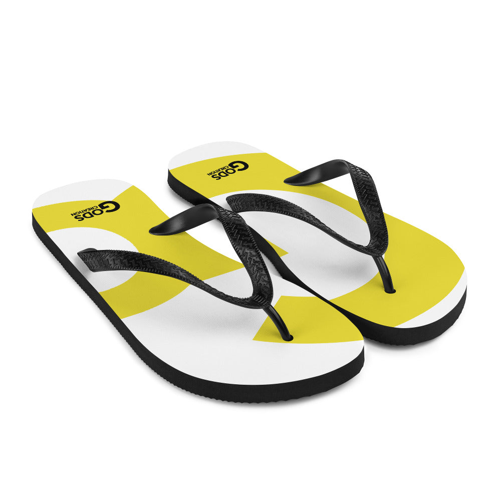 Flip-Flops