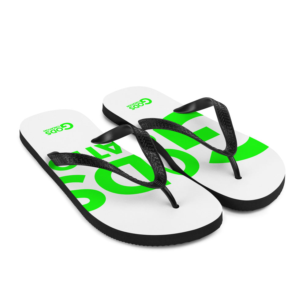 Flip-Flops