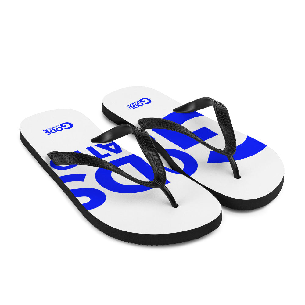 Flip-Flops