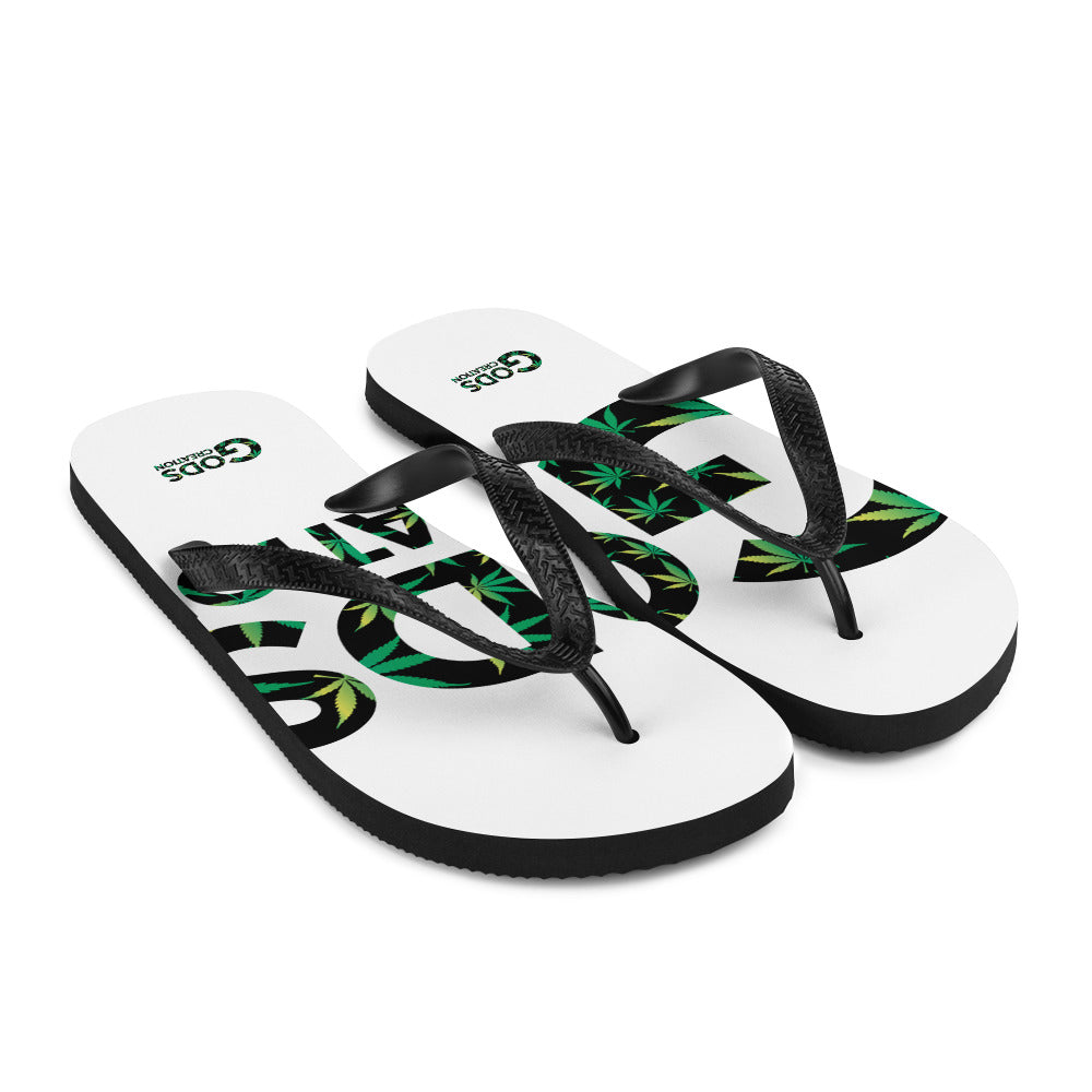 Flip-Flops