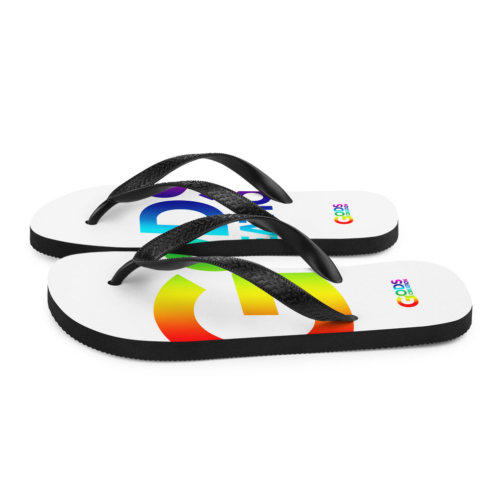 Flip-Flops