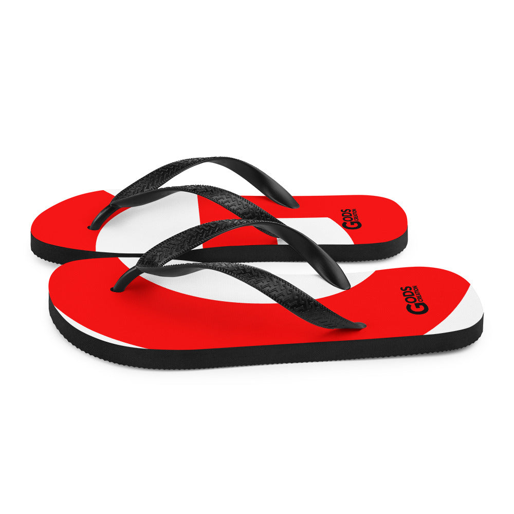 Flip-Flops
