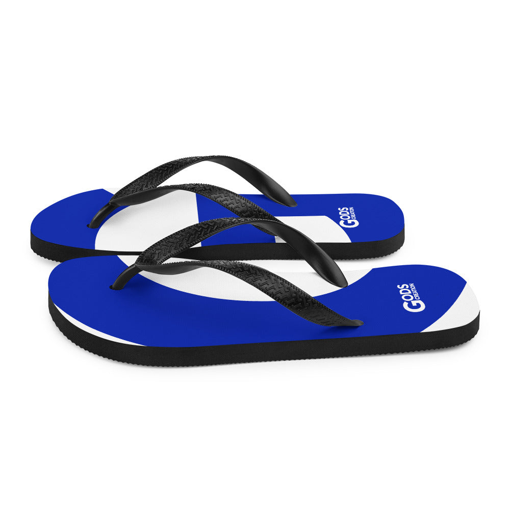 Flip-Flops
