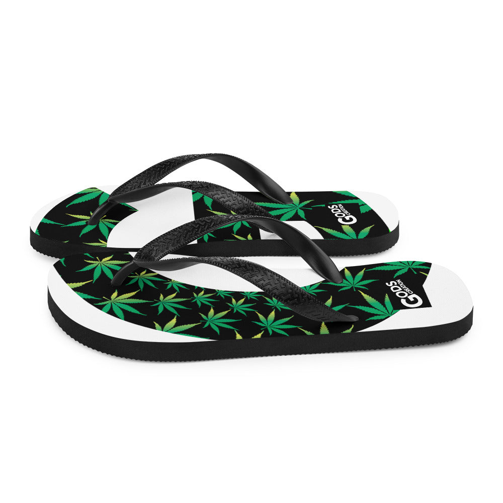 Flip-Flops