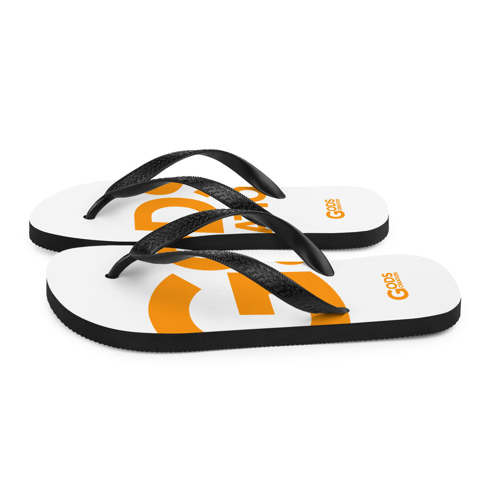 Flip-Flops