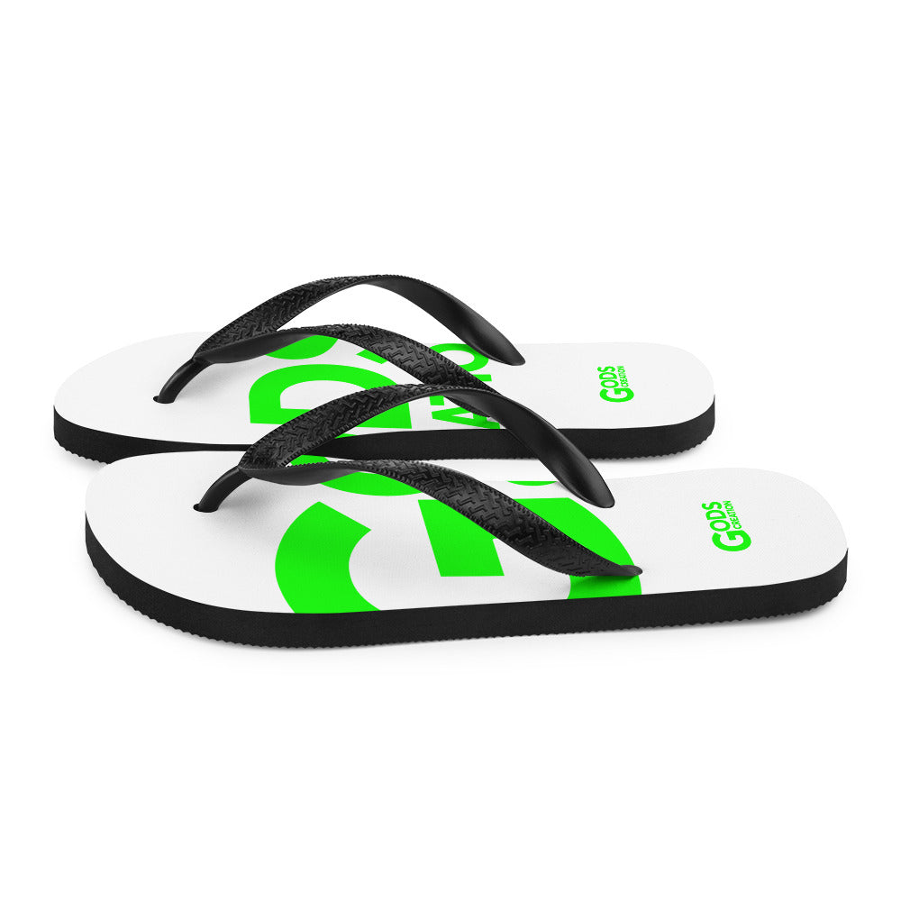 Flip-Flops