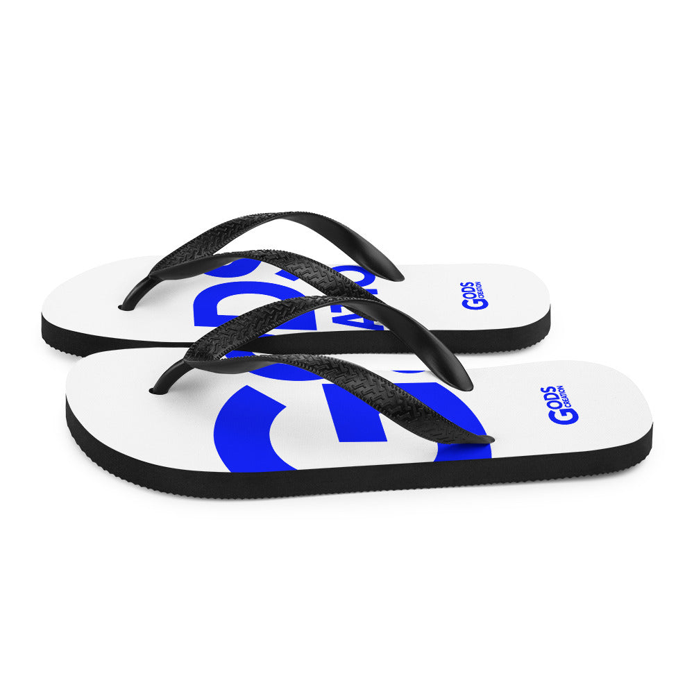 Flip-Flops