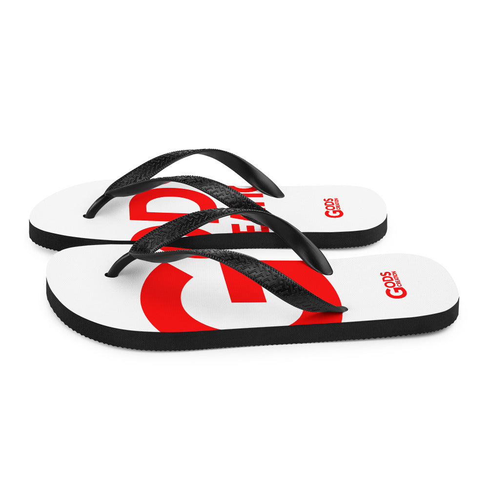 Flip-Flops