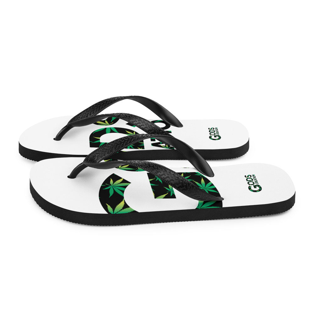 Flip-Flops