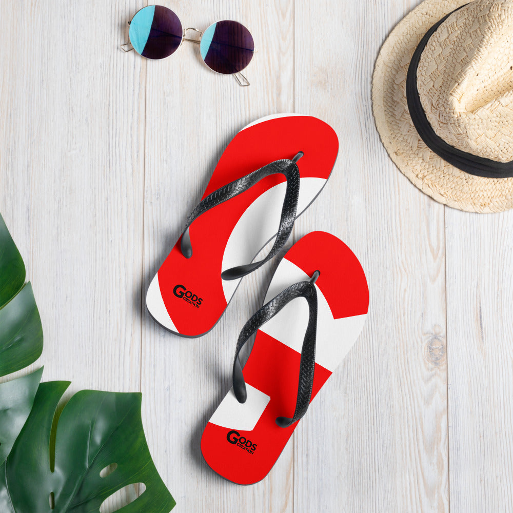Flip-Flops