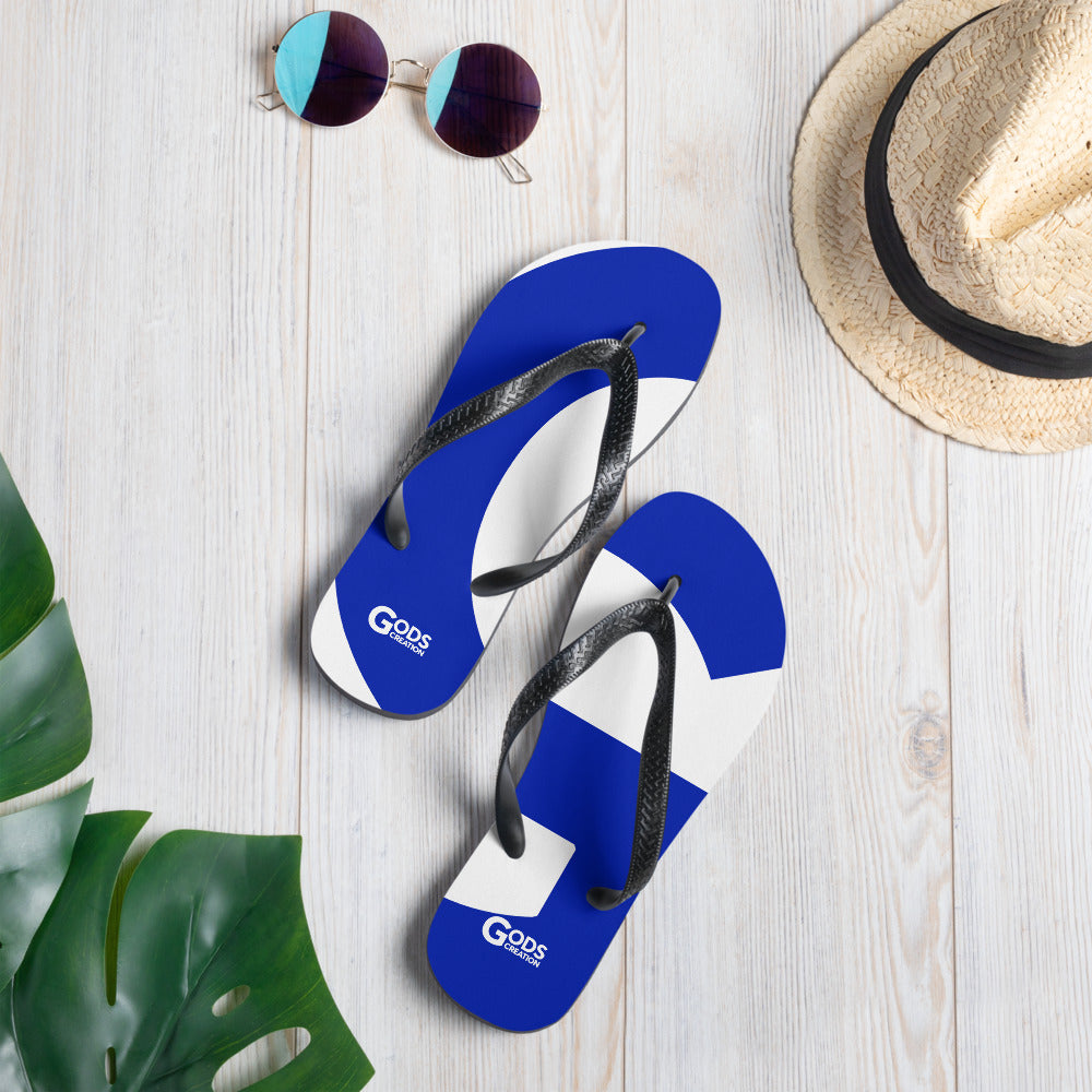 Flip-Flops