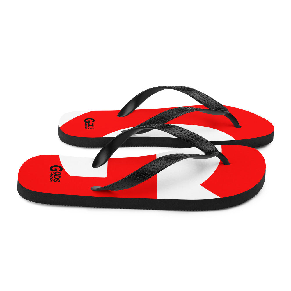 Flip-Flops