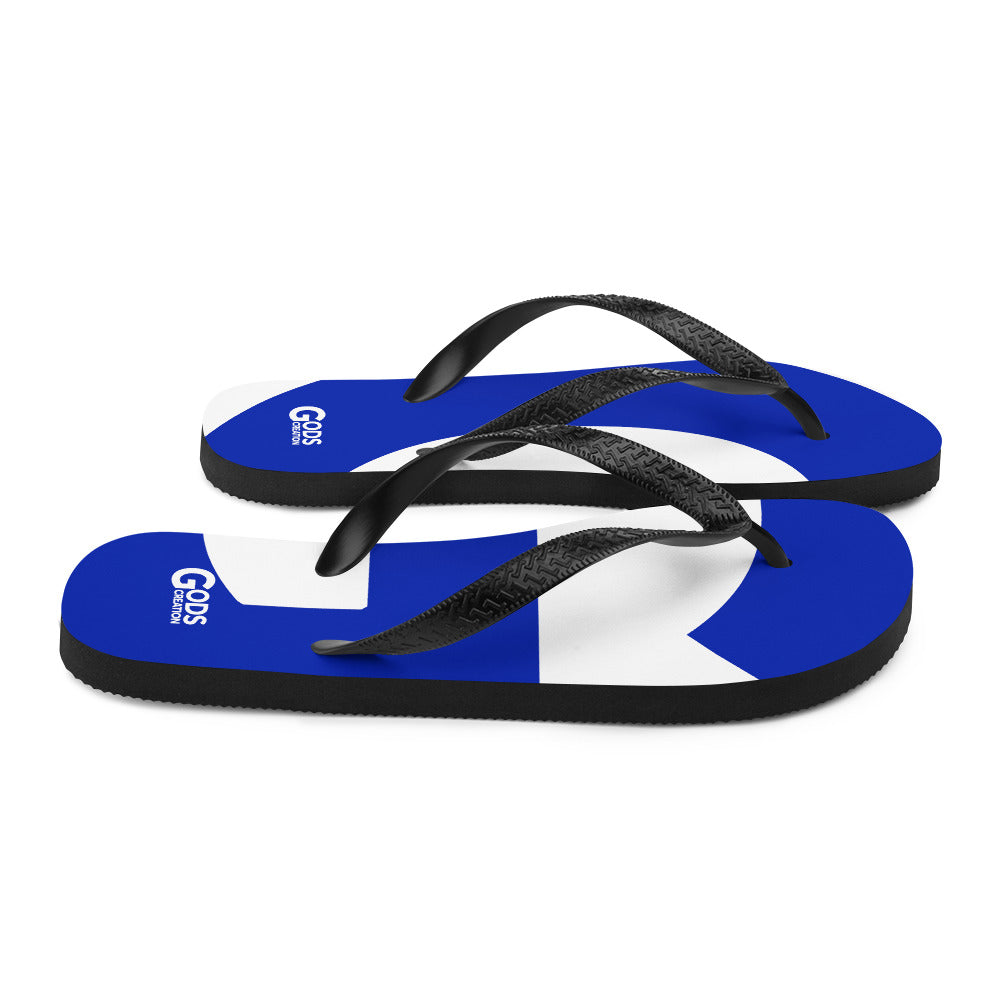 Flip-Flops