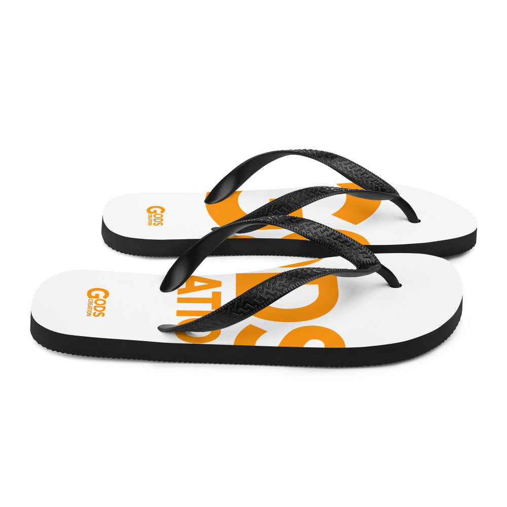 Flip-Flops