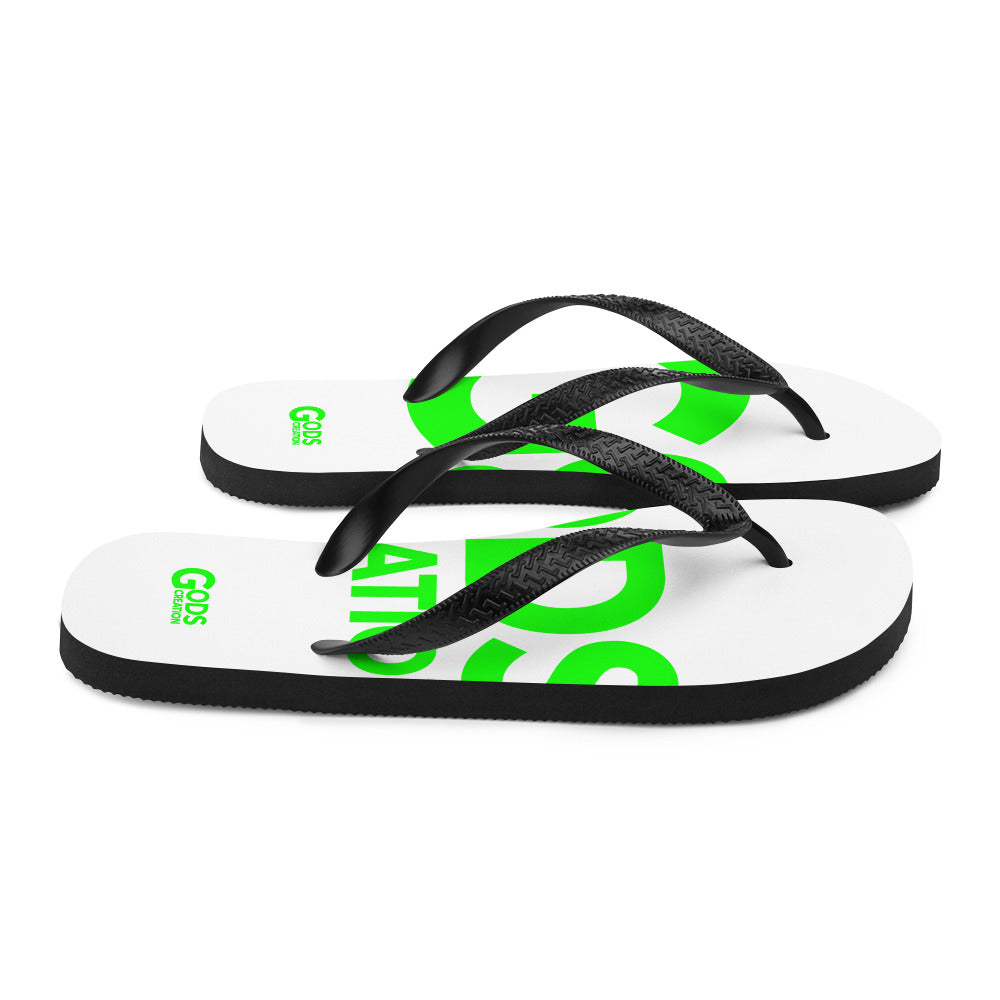 Flip-Flops