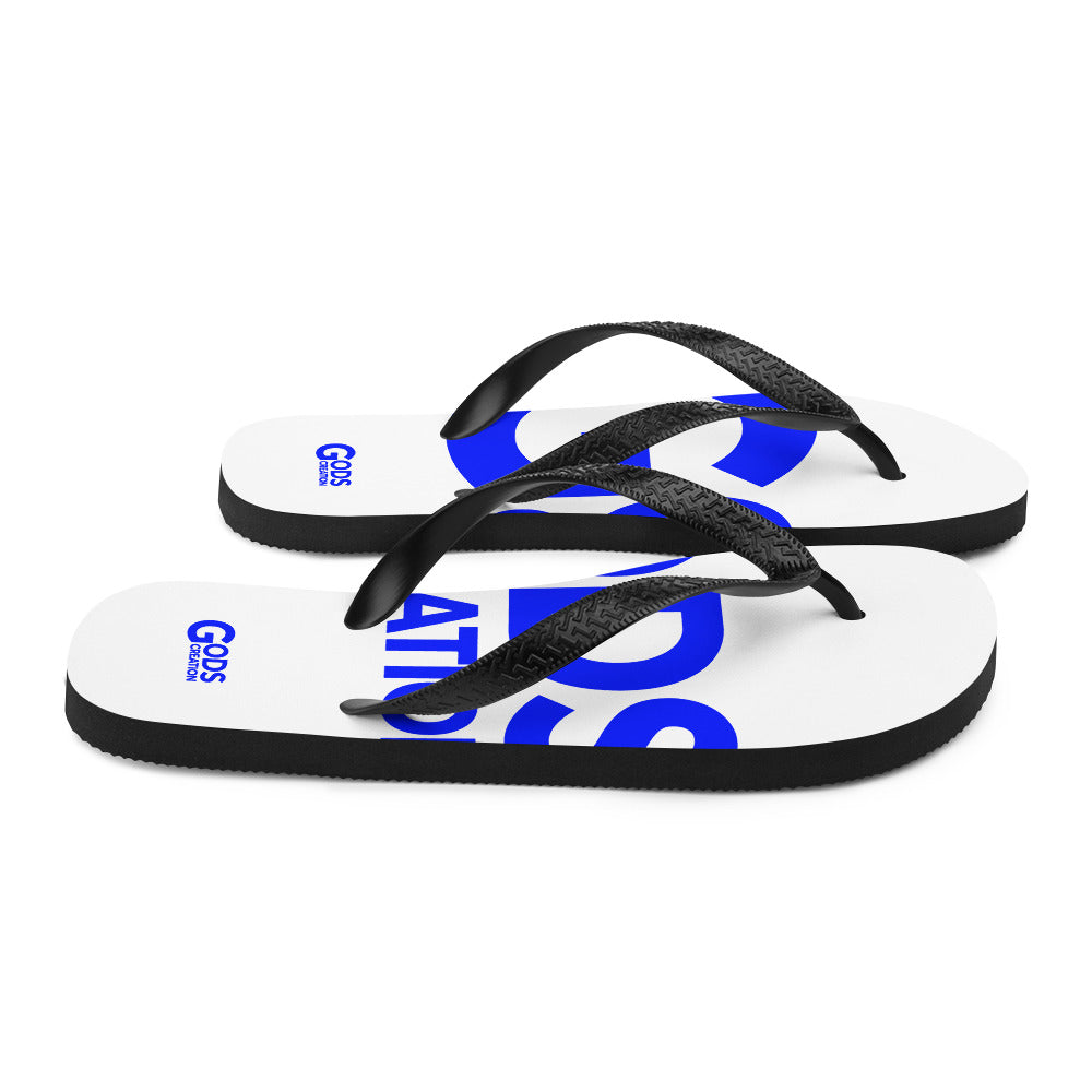 Flip-Flops