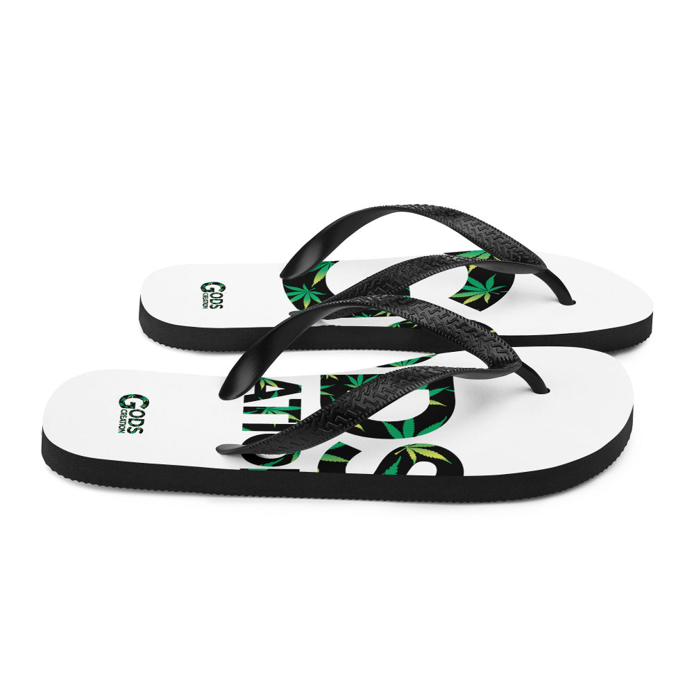 Flip-Flops